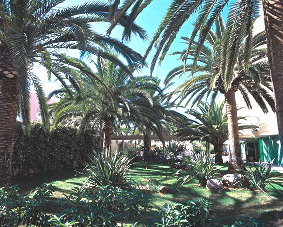 Hotel Palmira Isabela Santa Ponsa Exteriör bild